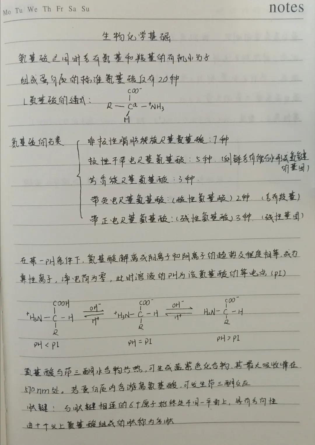 黄色片